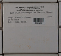 Image Associated With the Occurence